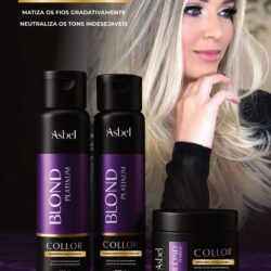 Kit Blond Platinum Collor da Asbel -  PLATINUM 300GR Cada